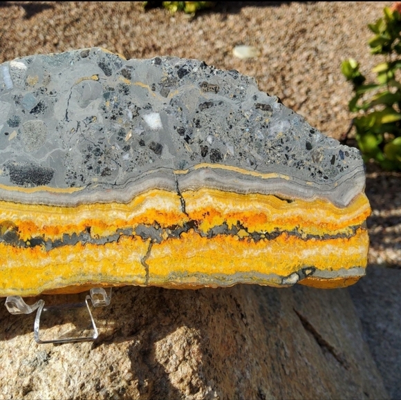 BIG, Bold Bumblebee Jasper Slab w/ stand - Indonesia - Picture 5 of 6